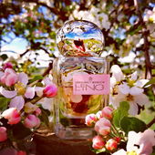 Im Deckel :das Auge des Sturms (mich bitte gedanklich ausblenden, weil man auch immer da stehen muss, Mensch ;)) (by Gandix)