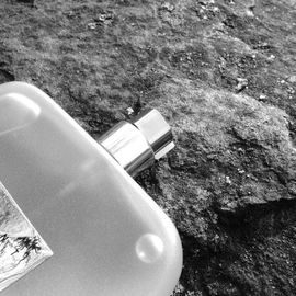 Scent Sheer - Costume National