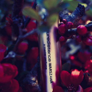 Warszawa von Puredistance