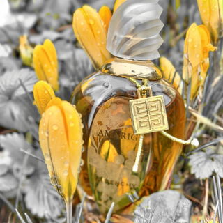 Amarige Mimosa de Grasse Millésime