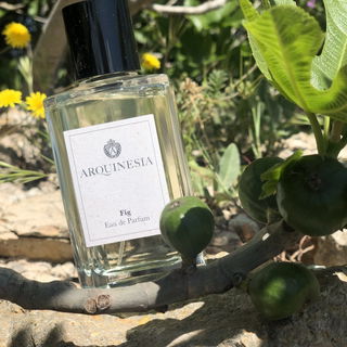 In seiner Heimat… 🌞🌴