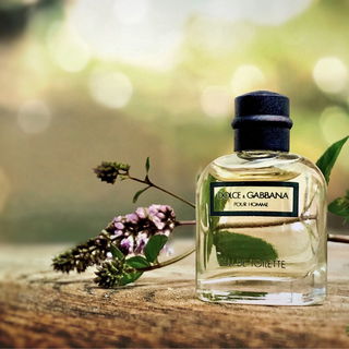 Dolce & Gabbana pour Homme (1994) (Eau de Toilette)