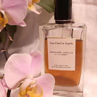 Orchidée Vanille by Van Cleef & Arpels