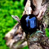 …📷🌍 Thank you. Danke schön. Merci beaucoup. Muchas gracias. Dōmo arigatō gozaimasu 💐… (von Kokusai)