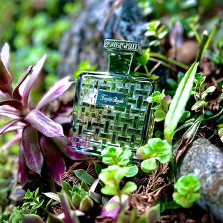 …📷🌍 Thank you. Danke schön. Merci beaucoup. Muchas gracias. Dōmo arigatō gozaimasu 💐…