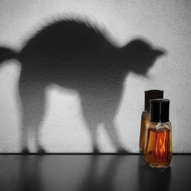 7ᵉ Sens / Septième Sens (Eau de Parfum) - Sonia Rykiel