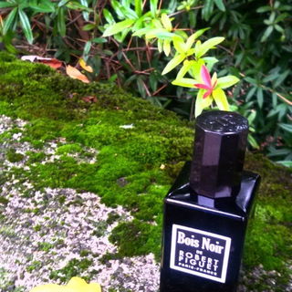 Bois Noir von Robert Piguet