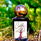 Dort wo Amber zu Indigo fließt und knorrige Kiefern still den Himmel kämmen…Habt einen guten Start in die Woche und ganz lieben Dank fürs Vorbeischauen ☺️🙏 (by Brida)