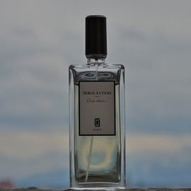 Gris clair... (2006) - Serge Lutens