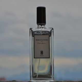 Gris clair... (2006) - Serge Lutens