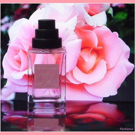 Kâshân Rose - The Different Company