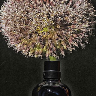 Blumenböller statt Raketen