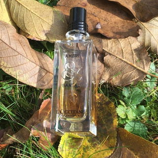 Ambre & Santal - L'Occitane en Provence