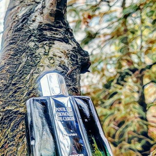 Pour Un Homme de Caron (2005) (Parfum) / L'Impact de Pour Un Homme - Caron
