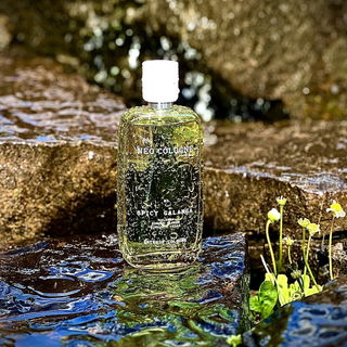 03 Spicy Galanga by Neo Cologne