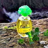 Euch allen Gesundheit, Frieden 🕊 und Glück 🍀 für 2023! ❤️🤗 *Happy New Year* (by Lavendel18)