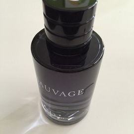 von Skylab