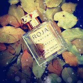Reckless pour Homme (Eau de Parfum) - Roja Parfums