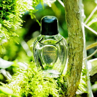 Francesco Smalto (Eau de Toilette) - Francesco Smalto
