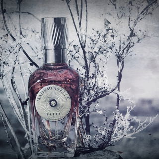 Frozen in time  -----   (thanks very much to loanaP for this title)