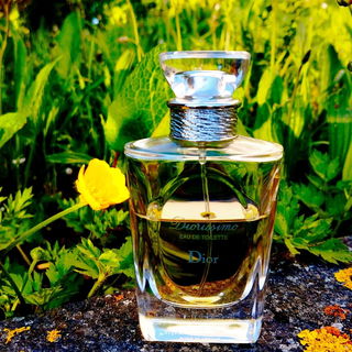 Diorissimo (2009) (Eau de Toilette) - Dior