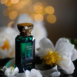 Miel d'Arabie - Chopard