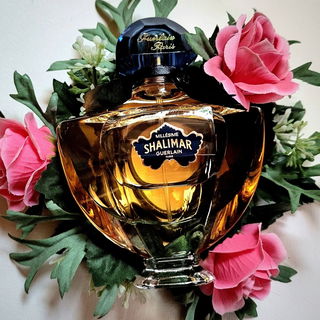Shalimar Millésime Iris von Guerlain