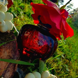 Hypnotic Poison (2014) (Eau de Parfum) - Dior