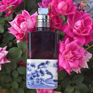 Soie Malaquais - Dries Van Noten