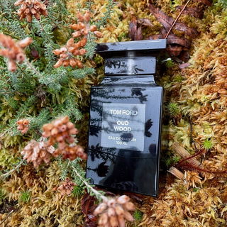 Oud Wood (Eau de Parfum) von Tom Ford