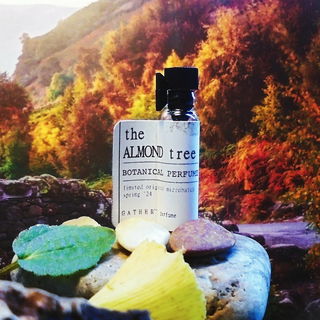 The Almond Tree by Gather Perfume