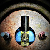 Unterm Rad der Schlossherrin (von Floyd)