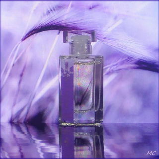 Mûre et Musc Extrême - L'Artisan Parfumeur