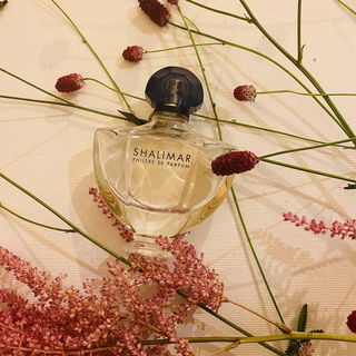 Shalimar Philtre de Parfum by Guerlain