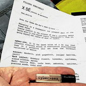 Hintergrund ist die Hersteller-Info aus dem Probenset. (by CharlAmbre)