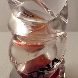 DNA Women (1993) (Perfume) von Bijan