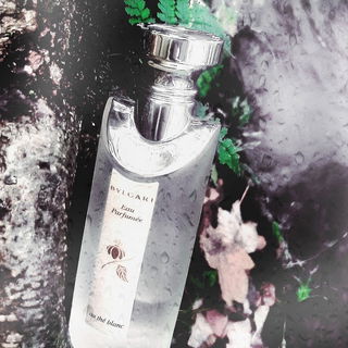 Eau Parfumée au Thé Blanc (Eau de Cologne) - Bvlgari