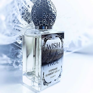 Wish Come True - Stéphane Humbert Lucas