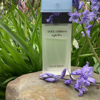 Light Blue (Eau de Toilette) - Dolce & Gabbana
