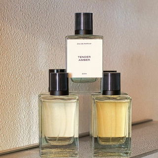 Tender Amber - Zara