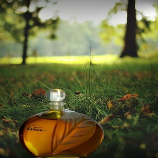Nature (Eau de Parfum) von Yves Rocher