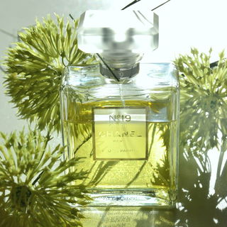 Tangier Vanille - Aerin