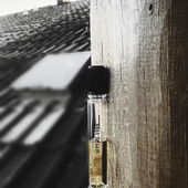 Grasiggerollte Terpene kringeln FataMorganaAfganen.MandelErdbeerMateSchwaden. Dunkelerdige Pudrigkeit - die eine Ahnung von Rauch in sich birgt (von Seejungfrau)