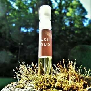 Adlerholzbaum im Moos