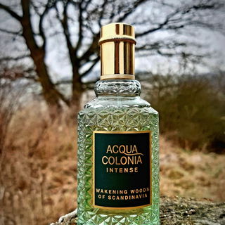 Wakening Woods of Scandinavia