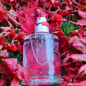 Lady in Red....danke für eure Aufmerksamkeit..😊 (von Scena2010)