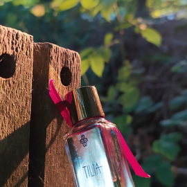 Tilia - Marc-Antoine Barrois