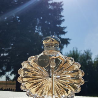 Ihr wundert Euch, wo die Sonne heute ist? Ich habe sie gestern eingefangen und in Flaschen abgefüllt! ;-)