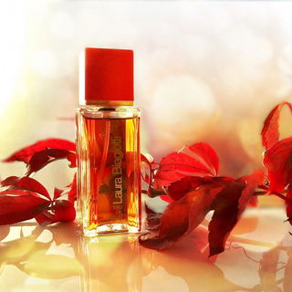 ...... Lauras Herbstfeuer .... ;)