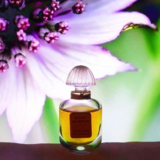 Belle de Rauch (Parfum) - Madeleine de Rauch